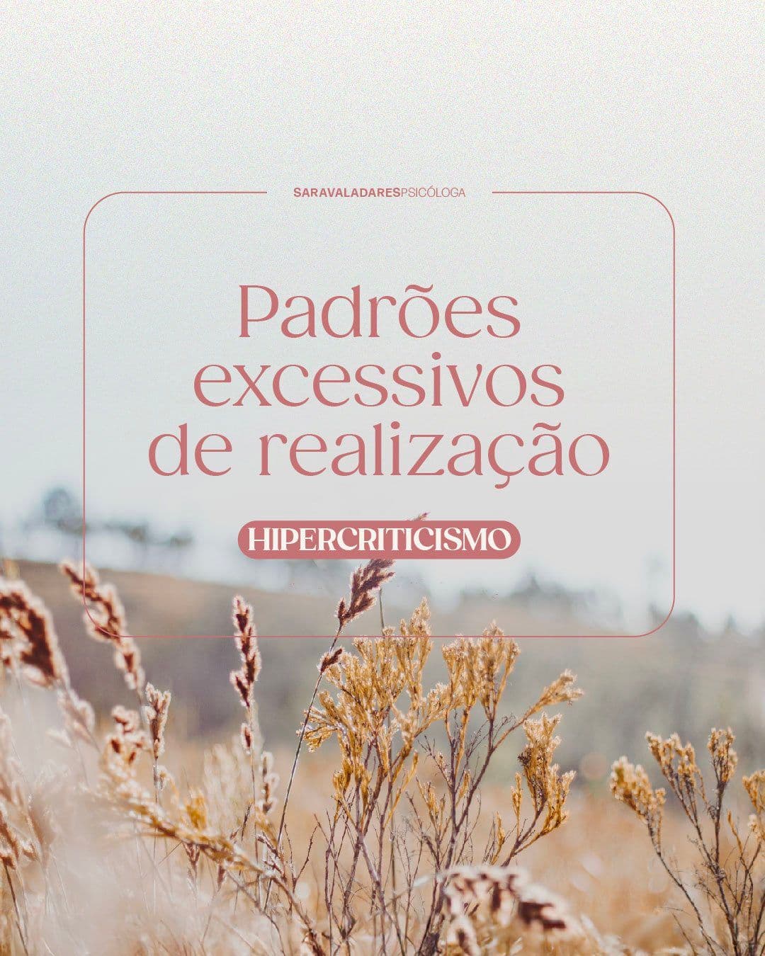 HIPERCRITICISMO - Padrões Excessivos de Realização